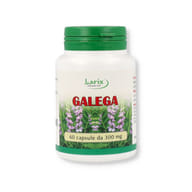 LARIX LABORATORI GALEGA 60 CAPSULE