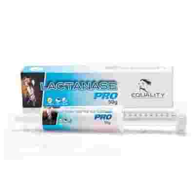 LACTANASE PRO SIRINGA PASTA ORALE PER CAVALLI 50 G