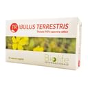 NUTRACEUTICA BIOLIFE TRIBULUS TERRESTRIS 60 CAPSULE