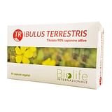 NUTRACEUTICA BIOLIFE TRIBULUS TERRESTRIS 60 CAPSULE