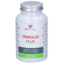 TRIBULUS PLUS 60 CAPSULE