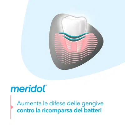 MERIDOL WHITENING DENTIFRICIO 75 ML MERIDOL WHITENING DENTIFRICIO 75 ML