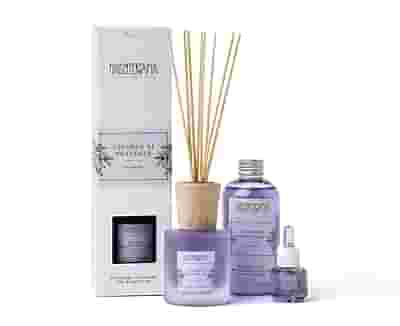 DIFFUSORE BASTONCINI LAVANDA DI PROVENZA 100 ML