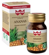 WINTER ANANAS 30 CAPSULE VEGETALI