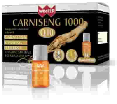 WINTER CARNISENG 1000 Q10 14 FLACONI DA 10 ML