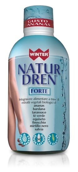 WINTER NATUR DREN 500 ML GUSTO ANANAS