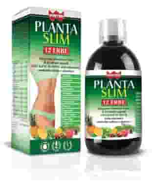 WINTER PLANTA SLIM 12 ERBE 500 ML