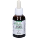 ZENZERO ET 30 ML