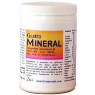 GASTROMINERAL POLVERE 250 G
