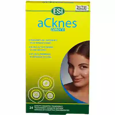 ESI ACKNES CEROTTI 24 PEZZI