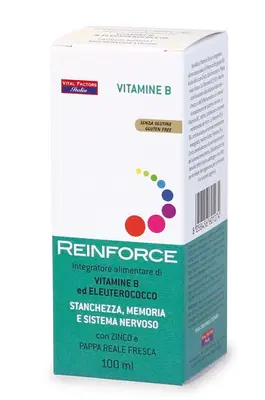 REINFORCE VITAMINA B 100 ML REINFORCE VITAMINA B 100 ML