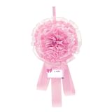 CHICCO ANNUNCIO NASCITA FIOCCO ROSA