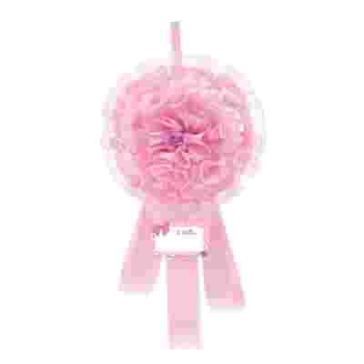 CHICCO ANNUNCIO NASCITA FIOCCO ROSA