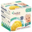 LIBELLULE SPUGNA MEDITERRANEA 8