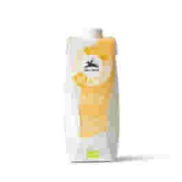BEVANDA VEGETALE DI AVENA BIO 500 ML