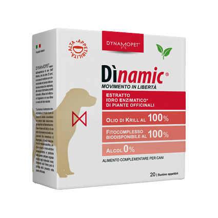 Dinamic 20 Bustine 2,5 G