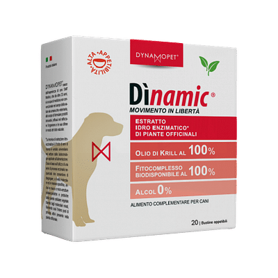 DINAMIC 20 BUSTINE 2,5 G