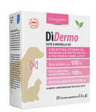 DIDERMO 20 BUSTINE 2,5 G