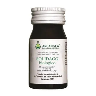 SOLIDAGO BIO 60 CAPSULE