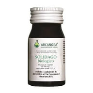 SOLIDAGO BIO 60 CAPSULE