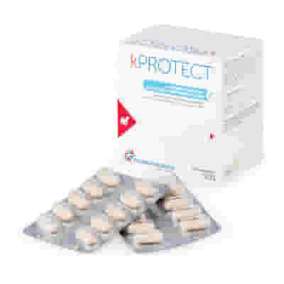 KPROTECT 120 COMPRESSE MASTICABILI
