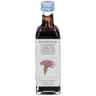 SANGAN 2 CON CONCENTRATO DI GANODERMA BIO 60 ML