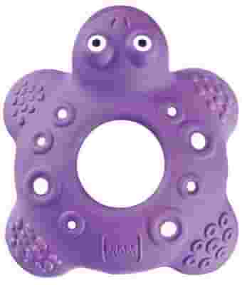 MAM DENTARUOLO BOB THE TURTLE