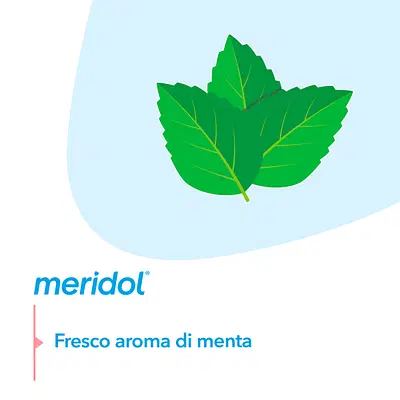 MERIDOL EXPANDED FILO INTERDENTALE 40 METRI MERIDOL EXPANDED FILO INTERDENTALE 40 METRI