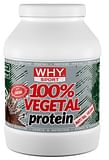 100% VEGETAL PROTEIN CACAO 750 G
