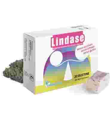 LINDASE POLVERE 20 BUSTINE