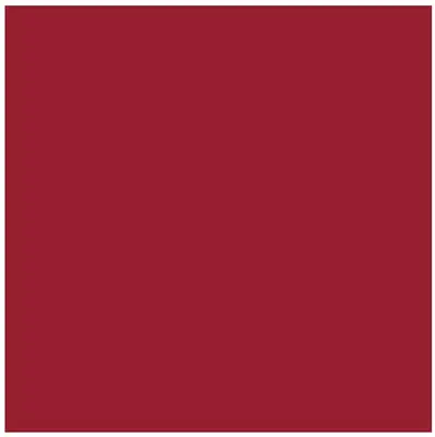MINICOLOROLOR 156 ROCOCO RED 5 ML MINICOLOROLOR 156 ROCOCO RED 5 ML