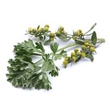 TSA ARTEMISIA ABSINTHIUM 50 ML