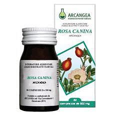 Arcangea Rosa Canina 60 Capsule