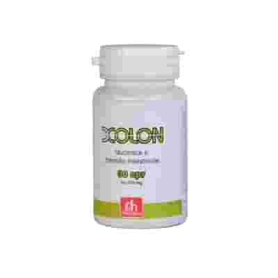 XOLON 30 CAPSULE