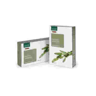 EQUISETO BIOLOGICO 20 AMPOLLE BEVIBILI DA 15 ML