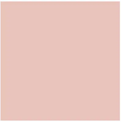 MINICOLOROLOR ROSE SHELL MINICOLOROLOR ROSE SHELL