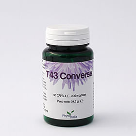 T43 Converse 60 Capsule