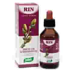 RIN LINEA GEMME ZEFIRUS 100 ML