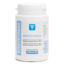 ERGYSTRESS 60 CAPSULE