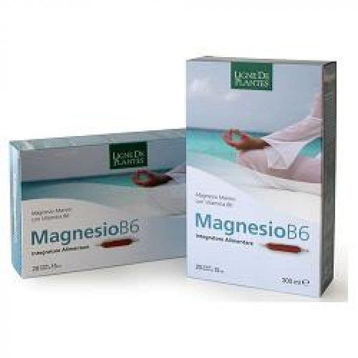 Magnesio B6 20 Ampolle Bevibili Da 15 Ml