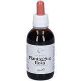 CAIRA PIANTAGGINE ROSA MACERATO IDROALCOLICO GOCCE 50 ML