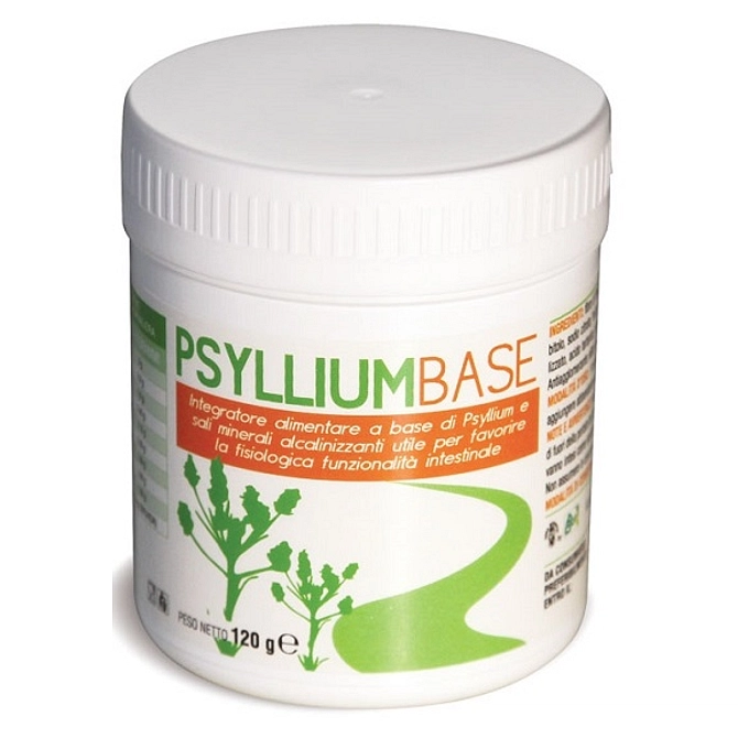 Psyllium Base Polvere 120 G