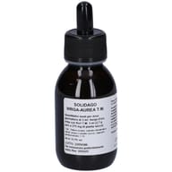 SOLIDAGO VIRGA AUREA TINTURA MADRE GOCCE 100ML