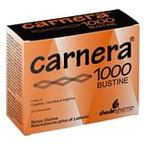 CARNERA 1000 18 BUSTINE