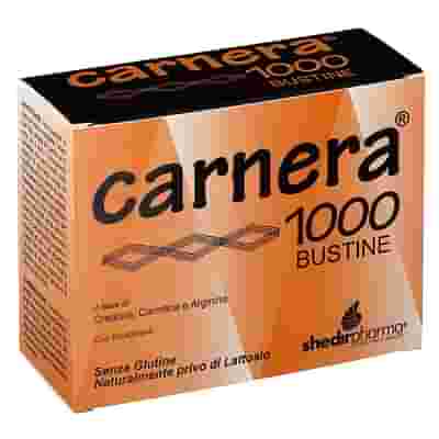 CARNERA 1000 18 BUSTINE