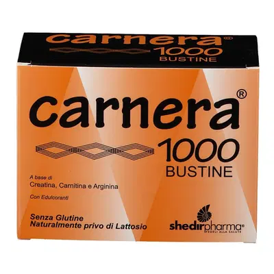 CARNERA 1000 18 BUSTINE CARNERA 1000 18 BUSTINE