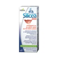 GEL SILICEA PER HERPES LABIALE HUBNER 2G