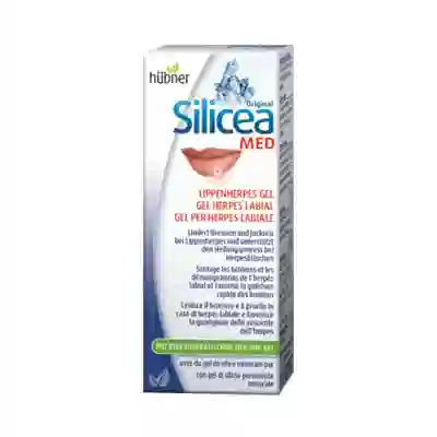 GEL SILICEA PER HERPES LABIALE HUBNER 2G