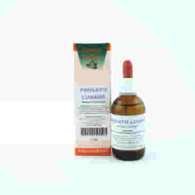 Passato Lunare Gocce 50ml, alimento floriterapico