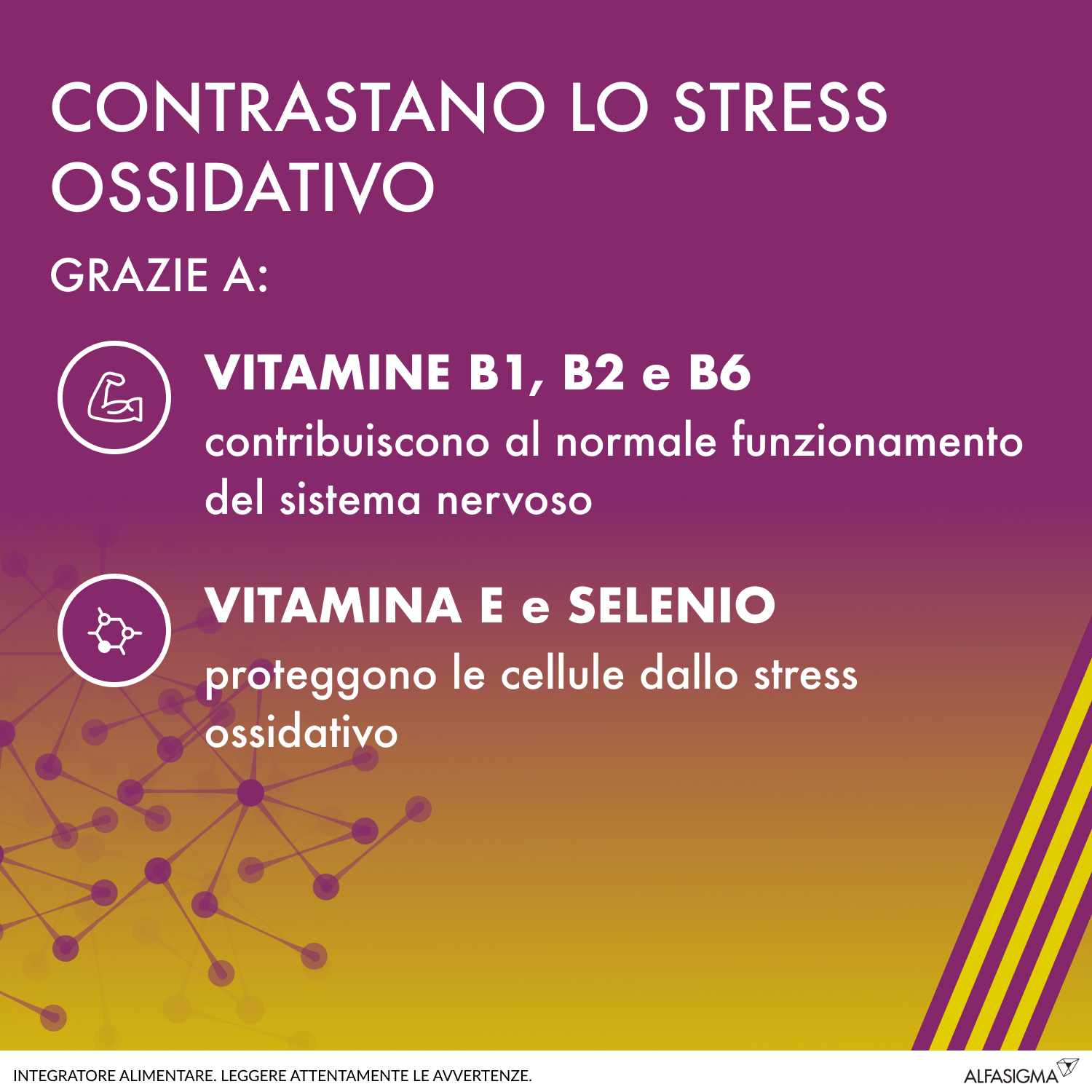 ALANERV ON 20 CAPSULE SOFTGEL